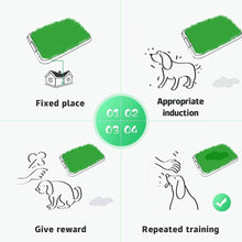 Load image into Gallery viewer, Dog Grass Potty Systems, Indoor/Outdoor Portable Potty, Fake Grass Pee Pads for Dogs