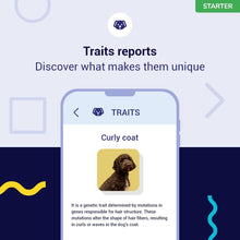 Load image into Gallery viewer, Koko DNA Test for Dogs Starter - (Breeds and Traits Reports) - Updates at no Cost