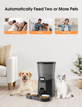 Load image into Gallery viewer, WOPET Automatic Dog Feeder,8L Pet Food Dispenser for Two Cats and Dogs