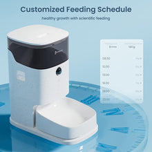 Load image into Gallery viewer, Cat Feeders, 3.5L Timed Pet Feeder with Three-Layers Preservation and Hand-Fired Porcelain Bowl