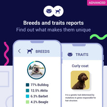Load image into Gallery viewer, Koko DNA Test for Dogs Advanced - (+150 Reports of Breeds, Health and Traits) - Updates at no Cost