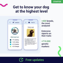 Load image into Gallery viewer, Koko DNA Test for Dogs Starter - (Breeds and Traits Reports) - Updates at no Cost