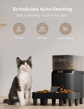 Load image into Gallery viewer, Elevated Automatic Cat Feeders for 2 Cats, 5L Multiple Cat Feeder with Timer