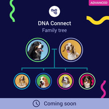 Load image into Gallery viewer, Koko DNA Test for Dogs Advanced - (+150 Reports of Breeds, Health and Traits) - Updates at no Cost