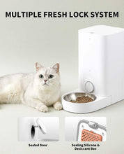 Load image into Gallery viewer, PETKIT Automatic Cat Feeder, 2.4GHz WiFi Automatic Pet Feeder for Cats and Dogs Smart Pet Dry Food Dispenser, Up to 10 Meals per Day, Low Food Reminder, App Control