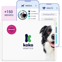 Load image into Gallery viewer, Koko DNA Test for Dogs Advanced - (+150 Reports of Breeds, Health and Traits) - Updates at no Cost