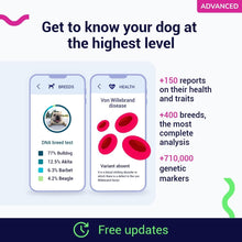 Load image into Gallery viewer, Koko DNA Test for Dogs Advanced - (+150 Reports of Breeds, Health and Traits) - Updates at no Cost