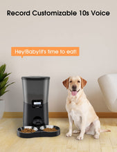 Load image into Gallery viewer, WOPET Automatic Dog Feeder,8L Pet Food Dispenser for Two Cats and Dogs