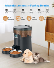 Load image into Gallery viewer, Automatic Cat Feeder, HoneyGuaridan 4.5L Pet Feeder for 2 Cats Dogs 6meal