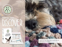 Load image into Gallery viewer, Allergy Test My Pet Dog Sensitivity and Intolerance Testing Kits