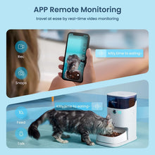 Load image into Gallery viewer, Cat Feeders, 3.5L Timed Pet Feeder with Three-Layers Preservation and Hand-Fired Porcelain Bowl