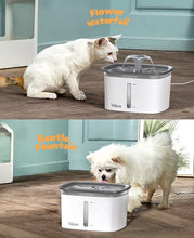 Load image into Gallery viewer, Pet Fountain, Automatic Water Fountain/ Dispenser with Smart Pump 2.8L