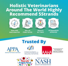 Load image into Gallery viewer, 5Strands Pet Food Intolerance Test, at Home Sensitivity Test for Dogs & Cats, 270 Items