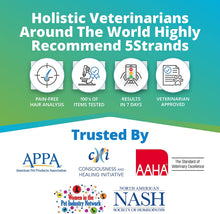 Load image into Gallery viewer, 5Strands Pet Raw Food Intolerance & Environmental Sensitivity Test, at Home Test for Dogs & Cats