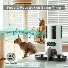 Load image into Gallery viewer, Automatic Pet Feeder for 2 Pets, 4.5L / 19.1cup Large Capacity
