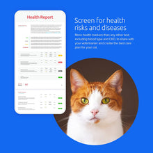 Load image into Gallery viewer, Basepaws Cat DNA Test | Breed + Health + Dental Report | Top Cat Breeds & 114 Health & Trait Markers