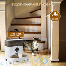 Load image into Gallery viewer, Automatic Cat Feeder for Two Cats, 2.4G WiFi App Control, 5L/21 Cup Capacity