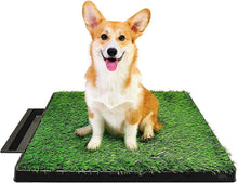 Load image into Gallery viewer, Dog Grass Potty Systems, Indoor/Outdoor Portable Potty, Fake Grass Pee Pads for Dogs