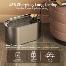 Load image into Gallery viewer, Cat Water Fountain, 3L Water Fountain for Cats Inside Water Dispenser with Filter and LED Light