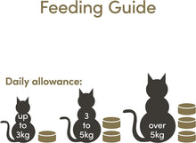 Load image into Gallery viewer, Applaws Tuna and Prawn Natural Wet Cat Food - 70 g tins, complementary food for adult cats, pack of 24