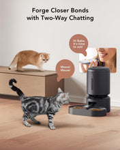 Load image into Gallery viewer, PETLIBRO Automatic Cat Feeder with Camera for Two Cats, 1080P HD Video with Night Vision, 5G WiFi Pet Feeder with 2-Way Audio for Cat & Dog, Low Food & Motion & Sound Alerts, Dual Tray, Black 5L