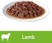 Load image into Gallery viewer, Dine Cuts in Gravy with Lamb Adult Cat Wet Food 85g x 14 Pack