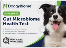 Load image into Gallery viewer, AnimalBiome Dog Probiotics Test Kit - Gut Microbiome Health Test - DoggyBiome