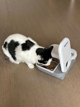 Load image into Gallery viewer, Closer Pets C200 2 Meal Automatic Pet Feeder for Cats and Small Dogs with Stainless Steel Bowl Inserts and Ice Pack