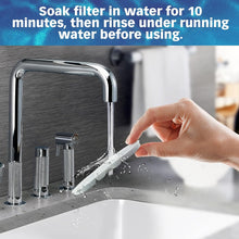 Load image into Gallery viewer, PET STANDARD Replacement Water Filter Compatible with PETLIBRO® BPA-Free Capsule Pet Water Fountain, 71oz/2.1L, Pack of 12