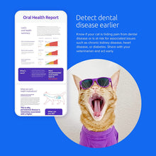 Load image into Gallery viewer, Basepaws Cat DNA Test | Breed + Health + Dental Report | Top Cat Breeds & 114 Health & Trait Markers