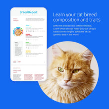 Load image into Gallery viewer, Basepaws Cat DNA Test | Breed + Health + Dental Report | Top Cat Breeds & 114 Health & Trait Markers