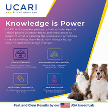 Load image into Gallery viewer, UCARI Pet Sensitivity & Intolerance Test Kit for Dogs & Cats | 1000+ Environmental & Pet Food Intolerance Screening | | 4 Tests in 1