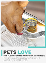 Load image into Gallery viewer, Dog Water Fountain for Large Dogs 2 Gallons, SwSun 7.6L Multiple Cats Water Fountain with Stainless Steel Bowl and Quiet Pump