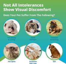 Load image into Gallery viewer, 5Strands Pet Food Intolerance Test, at Home Sensitivity Test for Dogs & Cats, 270 Items