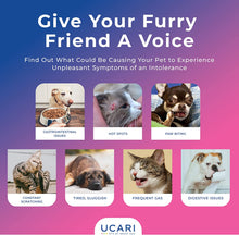 Load image into Gallery viewer, UCARI Pet Sensitivity & Intolerance Test Kit for Dogs & Cats | 1000+ Environmental & Pet Food Intolerance Screening | | 4 Tests in 1