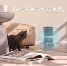 Load image into Gallery viewer, iPettie Hourglass Cat Feeder Automatic with Quickset Remote, 5L/21 Cup Capacity, 1-6 Meals Per Day, 20 sec Voice Recording, Stainless Steel Bowl, Self Feeding Cat Food Dispenser, Auto Cat Feeder