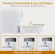 Load image into Gallery viewer, iPettie Automatic WiFi Pet Feeder for 2 Pets, 5L/21 Cup Capacity, 1-10 Meals Per Day, Adjustable Bowl Height, Smart Dog Cat Feeder with 2 Stainless Steel Bowls, Voice Recording, 2.4G WiFi App Control