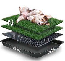 Load image into Gallery viewer, Extra Large Dog Grass Pad with Tray (35’’X45’’), Artificial Grass Mats Washable Pee Pad and Professionally Pet Toilet Potty Tray