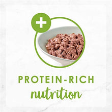 Load image into Gallery viewer, Fancy Feast Grilled Salmon in Gravy Wet Cat Food, Adult 24*85gm