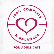 Load image into Gallery viewer, Fancy Feast Delights with Cheddar Chicken Wet Cat Food, Adult 24*85gm
