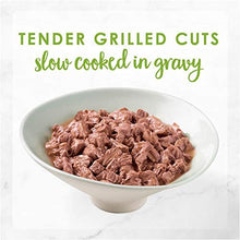 Load image into Gallery viewer, Fancy Feast Grilled Salmon in Gravy Wet Cat Food, Adult 24*85gm