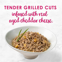 Load image into Gallery viewer, Fancy Feast Delights with Cheddar Chicken Wet Cat Food, Adult 24*85gm