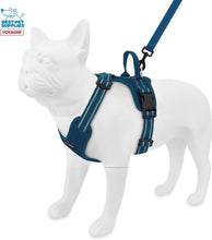 Load image into Gallery viewer, Air Frontier Mesh Dog Harness with Steel Leash No-Pull Design - Large