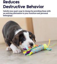 Load image into Gallery viewer, Dog Toy Pet Stages Cool Teething Stick