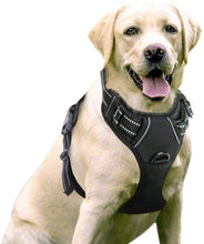 Load image into Gallery viewer, Dog Harness No-Pull Pet Harness Adjustable Outdoor Pet Vest 3M,size available