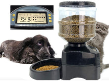 Load image into Gallery viewer, Automatic Pet Feeder Dispenser Waterer Dog Cat Self Feeding Food 5.5L