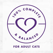 Load image into Gallery viewer, Fancy feast delight with cheddar Turkey adult wet cat food 24*85gm