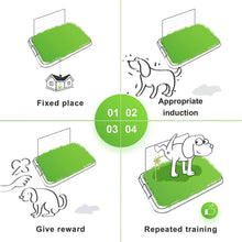 Load image into Gallery viewer, Hompet Dog Potty for Indoor or Porch, 2 Pcs