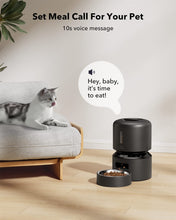 Load image into Gallery viewer, Automatic Cat Feeders, Pet Dry Food Dispenser Triple Preservation with Stainless Steel Bowl & Twist Lock Lid, Timed Cat Feeder Up to 50 Portions 6 Meals Per Day