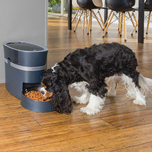 Load image into Gallery viewer, PetSafe Smart Feed Automatic Dog and Cat Feeder 6L